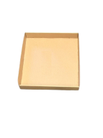Self Erecting Tray GLN19(P/1)(400 X 360 X 50)