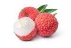 (LITCHI / LYCHEE) 5l Flavor syrup Concentrate for frozen Lolli's/lolly's