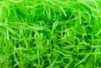 TISSUE SHREDDED* COLOURS (50G) SHREDDED TISSUE (Hunter Green)