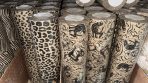 Wrapping paper (500mm) Kraft Animal (Black on Brown) * 100m roll * Paws - Image 3