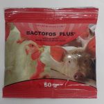 Bactofos Plus 50gms Broad Spectrum Antibiotic