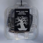 Bonsai Seeds Trees (Grow your  Bonsai from Seeds )