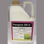 Paragone 200 SL 5Ltr
