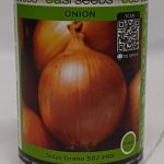 SEEDS ONION TEXAS GRANO 100GMS