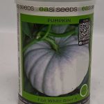 SEEDS FLAT WHITE BOER A PUMPKIN
