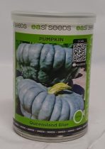 SEEDS QUEENSLAND BLUE PUMPKIN 100GMS