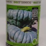 SEEDS QUEENSLAND BLUE PUMPKIN 100GMS
