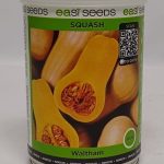 SEEDS SQUASH WALTHAM 100GMS