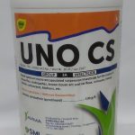 UNO CS 1L