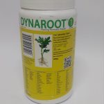 Rooting Powder Dynaroot no 1 600gms
