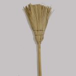 Broom, Witch, Type Grass
