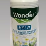 Kelp Wonder 500ml