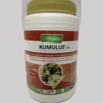 Efekto Kumulus WG Fungicide 200ml
