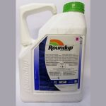 Roundup Glyphosate 360 5l Concentrated (Control Weeds in Paving )