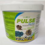 Synvita Pulse - Wax Blocks 500G OR 3KG